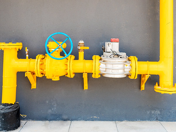 yT(mn)Ͷa(chn)ǰľSo