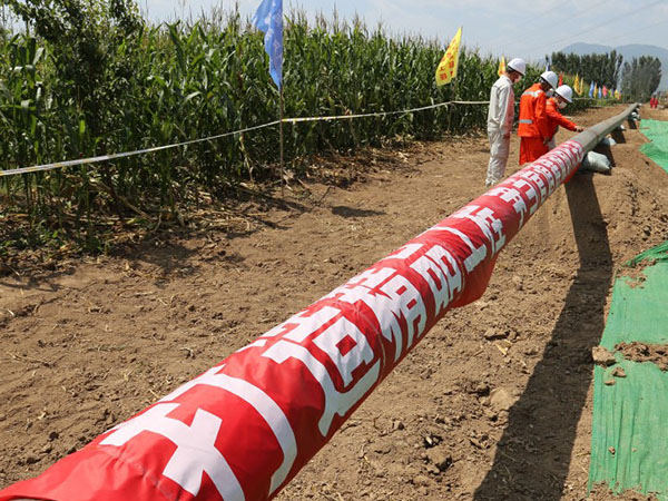 GɫW ꃾľ(xin)Ȼܵҿ֧(xin)Ŀ_(ki)O